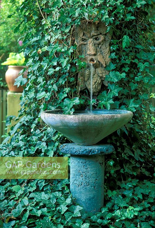 Wall mounted water feature with Hedera