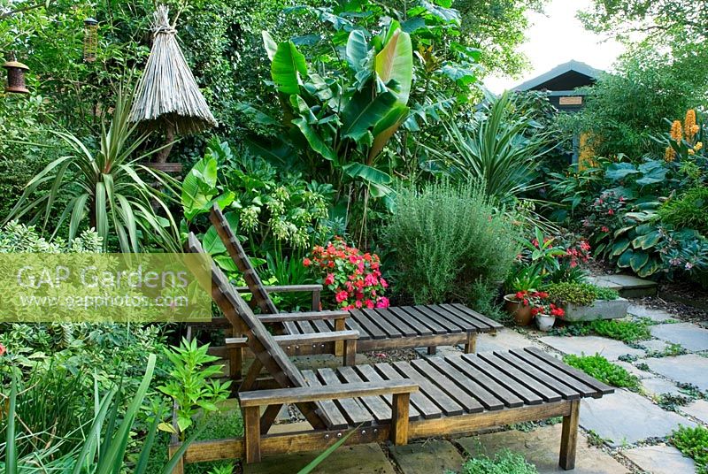 Exotic style garden with seating and tropical borders plants inc bamboo, ginger lily, Cordylines, Musa and shed in background