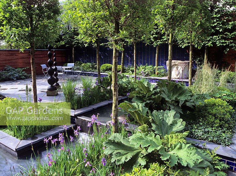 Extensive planting under Quercus standars and pleached Tilia in a small urban garden - Cartier Ltd, Chelsea FS 2000
