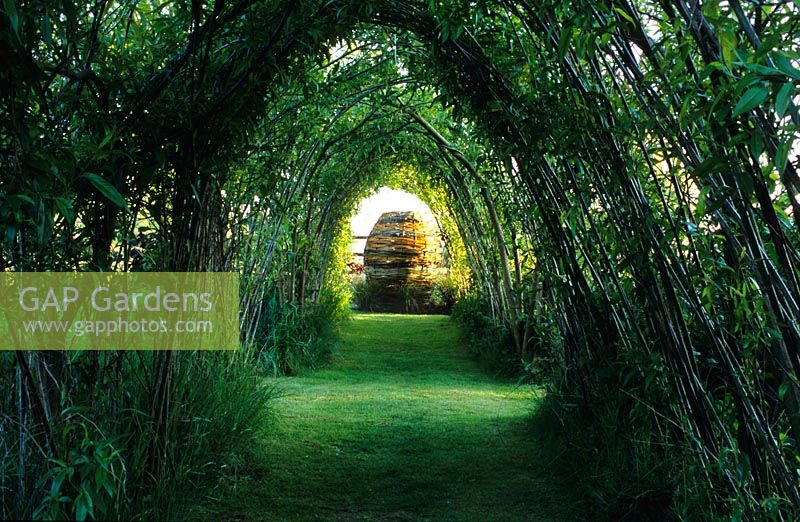 Willow Tunnel by Lucy Redman