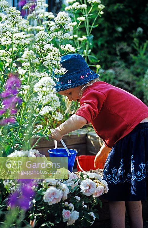 Girl in the sandpit. White Valeriana - The Lucy Redman School of Garden Design, Suffolk