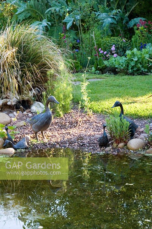 Pond with Duck ornaments and Anemanthele lessoniana 