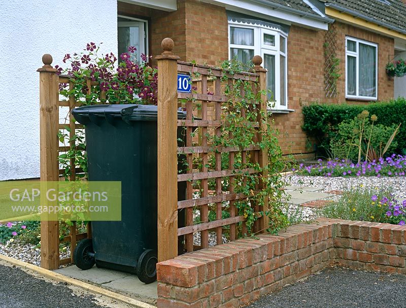 Wheely bin shelter camouflaged by Clematis 'Etoile Violette' and Clematis cirrhosa 'Freckles'