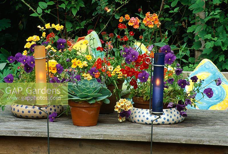 Candles in coloured glass tubes beside a group of summer containers on table planted with Nemesia, Viola and Echeverias
