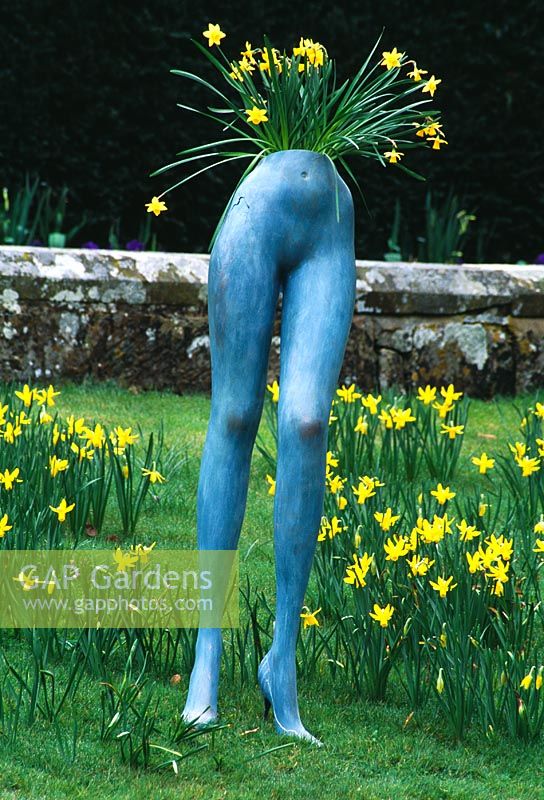 Surrealist inspired image of mannequin legs planted and surrounded by Narrcissi -  Groombridge Place, Kent