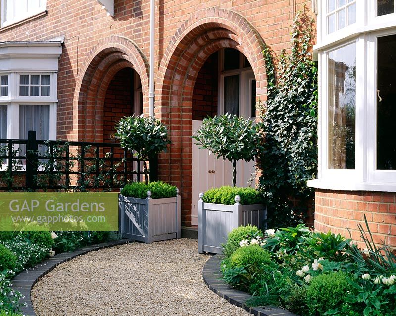 Shady front garden with clipped Laurus nobilis in silver wooden versailles tubs planted with dwarf Buxus. Dark green trellis, Buxus balls, ferns and Tulipa 'Boule de Neige'