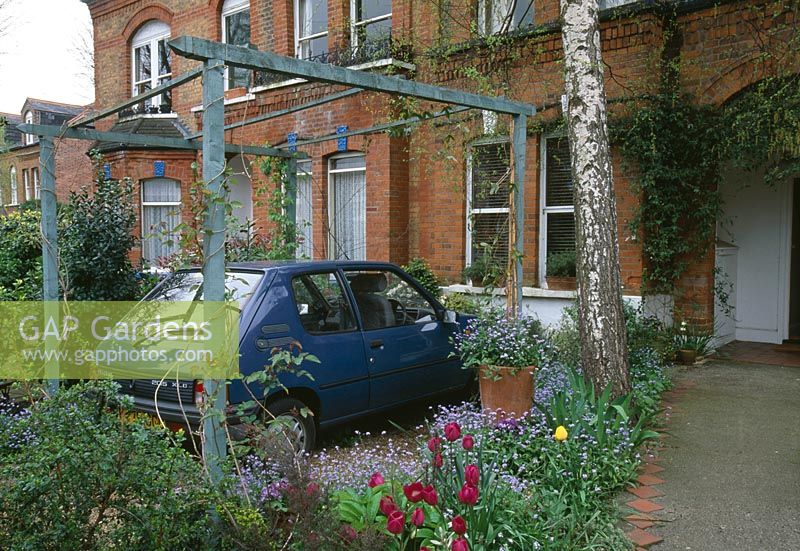 Front garden with Tulipa, forget-me-nots and car in carport   