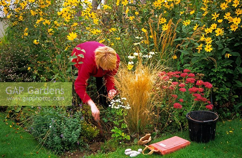 Woman working in border with grasses and perennials in late summer