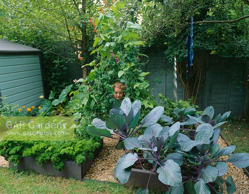 Girl in the decorative childrens potager with parsley, cabbage, runner beans and courgettes