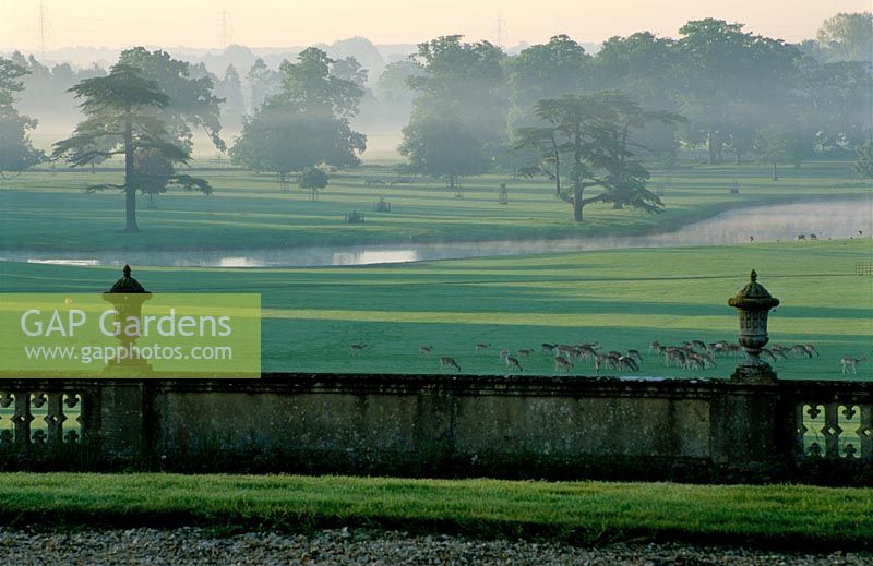 View from Englefield House across the deer park - Englefield House, Berkshire