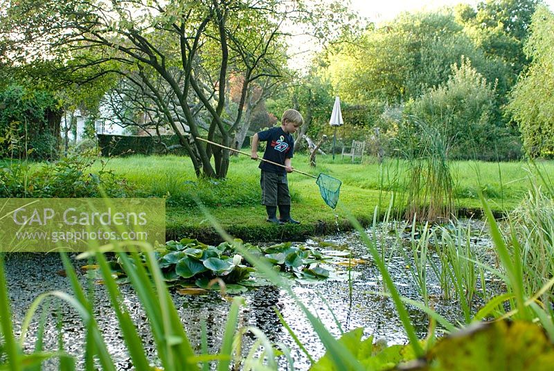 Boy fishing for pond life with net