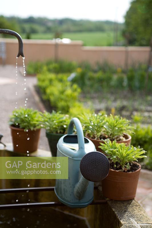 Watering can resting on bars on fountain within newly built french potager garden