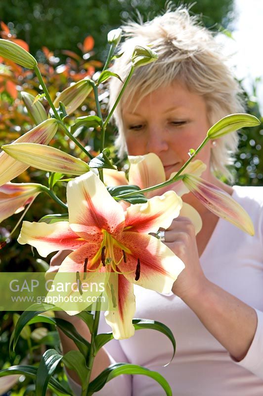 Young woman smelling a scented Lily