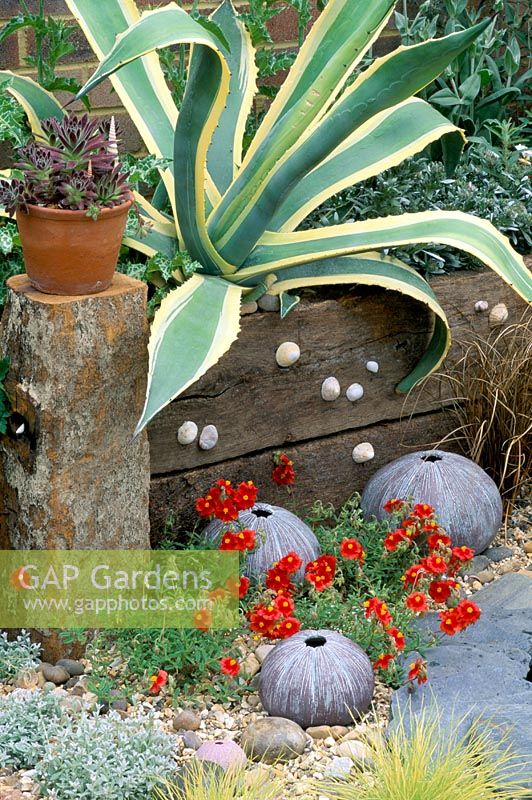 Agave in raised bed retained by railway sleepers above Helianthemum and ceramic sea urchins by Dennis Fairweather - B and Q courtyard garden, Chelsea 1997