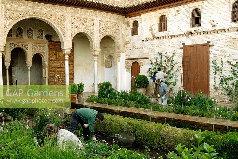 Gardeners working in the Patio de la Acequia Water Garden of the Generalife Gardens - Gardens of the Alhambra, Granada, Spain