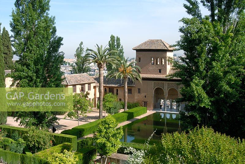 The Partal gardens with rectangular pool, low topiary myrtle and box hedges - Gardens of the Alhambra, Granada, Spain 