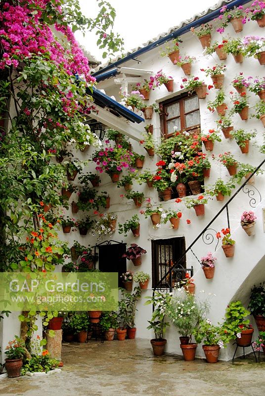 Traditional Spanish courtyard garden with Bougainvillea, Tropaeolum and Pelargoniums in terracotta pots hanging on whitewashed walls. The Cordoba Patio Festival, Andalucia, Spain.