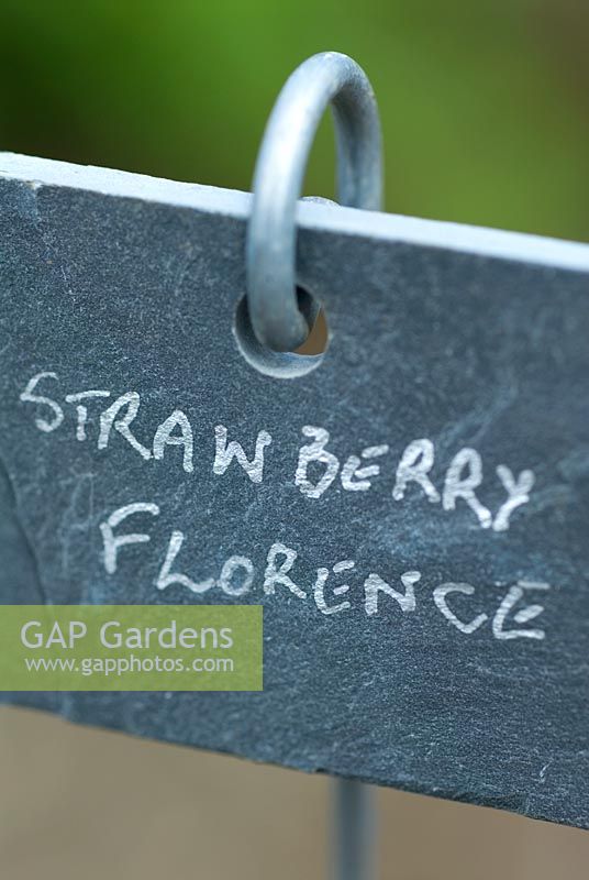 Hanging slate plant label 'Strawberry Florence' handwritten in silver - Little Becketts, Essex