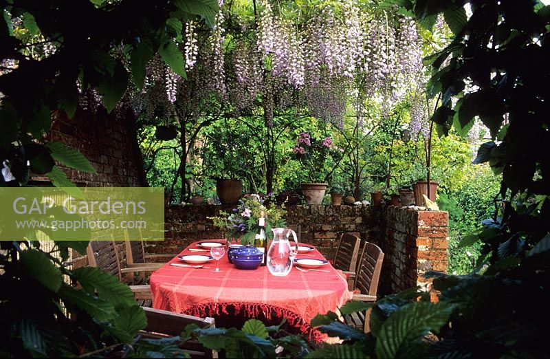 Seating and dining area in garden under Wisteria sinensis 'Rosea'