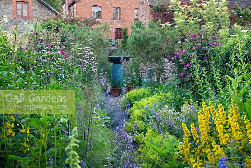 Double herbaceaous borders plants include roses, Lysimachia punctata, Phlomis tuberosa, Nepeta, Achemilla mollis and valerian with path leading to blue contemporary water feature with house in background