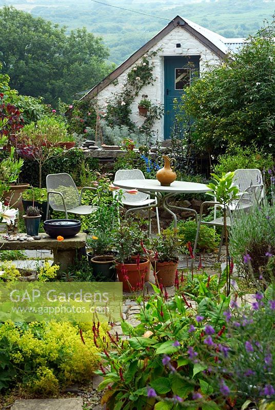 Seating area with table and chairs, pots, planting, objet trouve, Jasminum and outbuilding 
