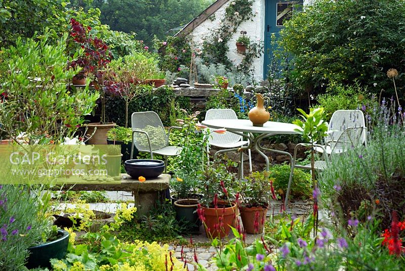 Country seating area with pots, planting and objet trouve