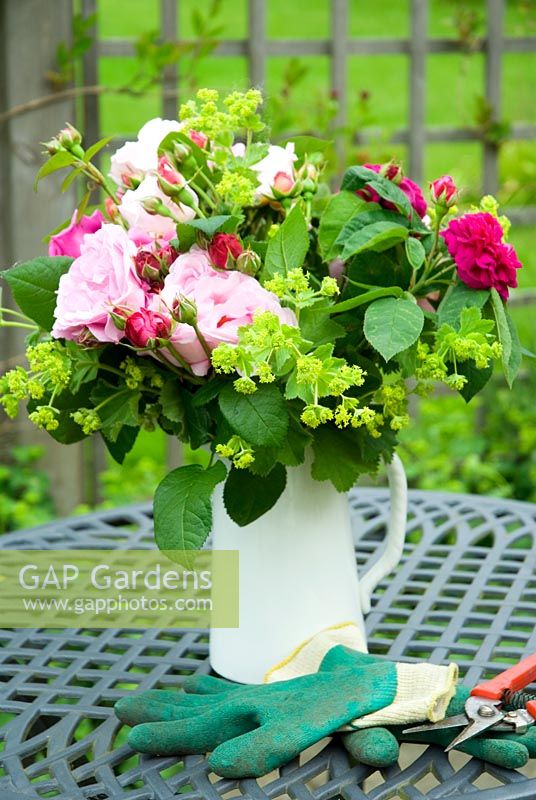 Roses and Alchemilla mollis in white jug on garden table with gloves and secateurs
