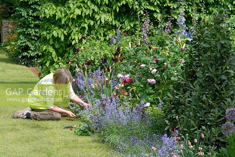 Putting finishing touches to 'The Chris Beardshaw Garden', RHS Chelsea 2007