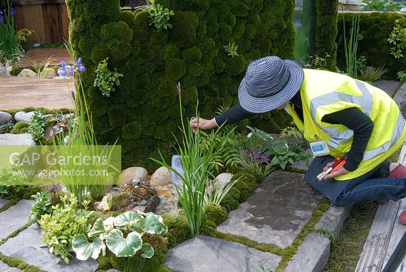 Putting finishing touches to the 'Un Tei' Show Garden, RHS Chelsea Flower Show 2007