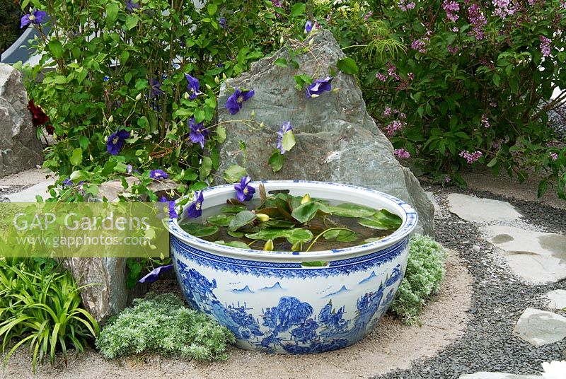 Porcelain water bowl with Nymphaea and Clematis 'Kingfisher' in the 'Through the Moongate Chinese Garden', Chelsea 2007