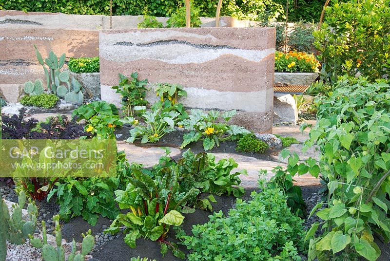 Chard, kale and courgettes in '600 Days with Bradstone' Garden, Chelsea 2007. Terrestrial Life on Mars Garden. Winner of Gold Medal and Best in Show. 