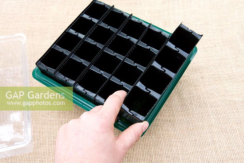 Planting up 'Rootrainer' with seeds - Step 2