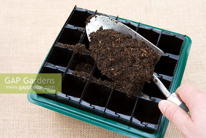 Planting up 'Rootrainer' with seeds - Step 3