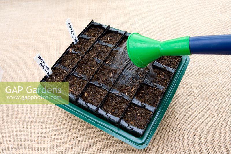 Planting up 'Rootrainer' with seeds - Step 6