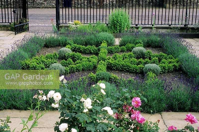 Front garden with herbs and formal layout 