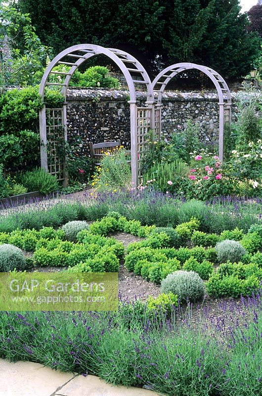 Herb knot Garden with Lavandula - Lavender and Buxus - Box hedges, Trellis Arches in background