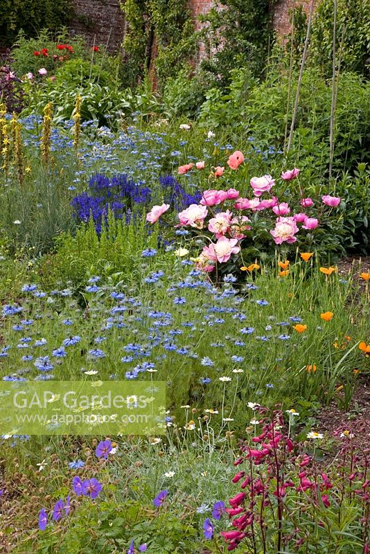 Summer borders in an old walled garden at Edmonsham House.