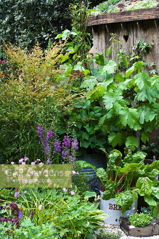 Bread bin used as container for Chard - 'Moving On' garden, Chelsea 2007 