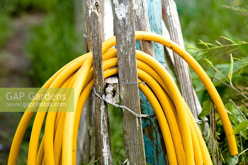 A coiled yellow hosepipe