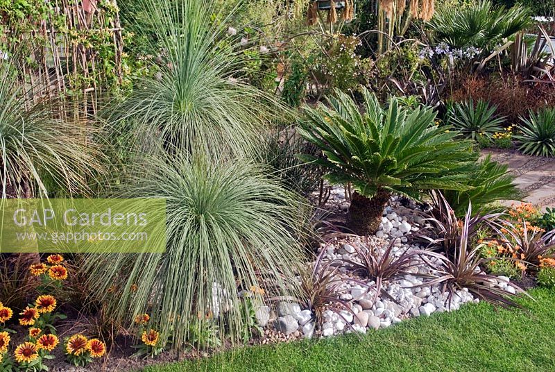 Xanthorrhoea glauca and Cucas revoluta - Exotic Palms in dry bed with white pebble mulch - Hampton Court 2007