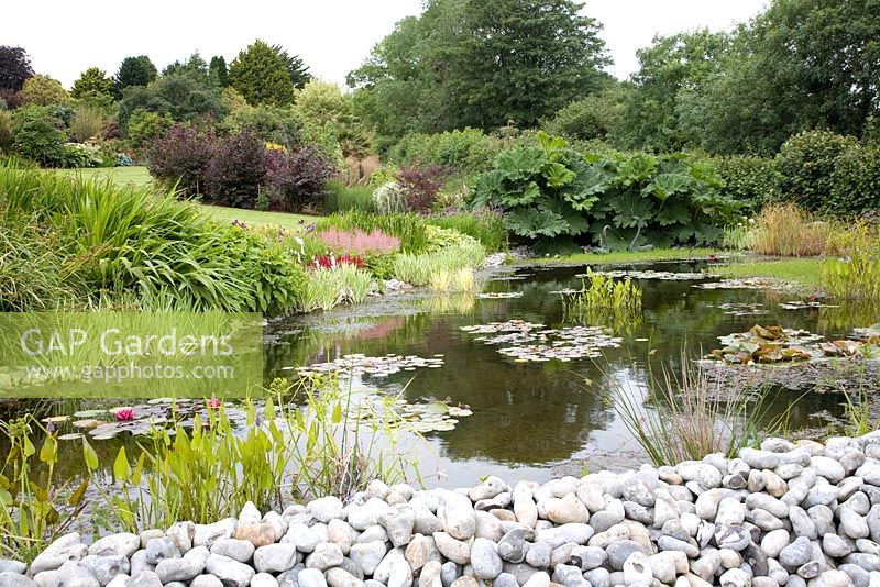 Pond - Ken-Caro Gardens, Cornwall