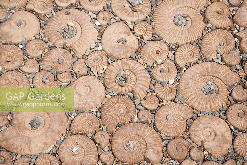 Manufactured 'Ammonites' as paving - The Eden Project