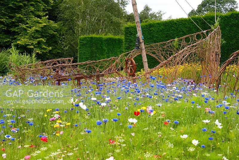 A meadow of flowering annuals with a pirate ship created from woven willow in the Pirates and Mermaids Garden at The RHS Gardens Harlow Carr