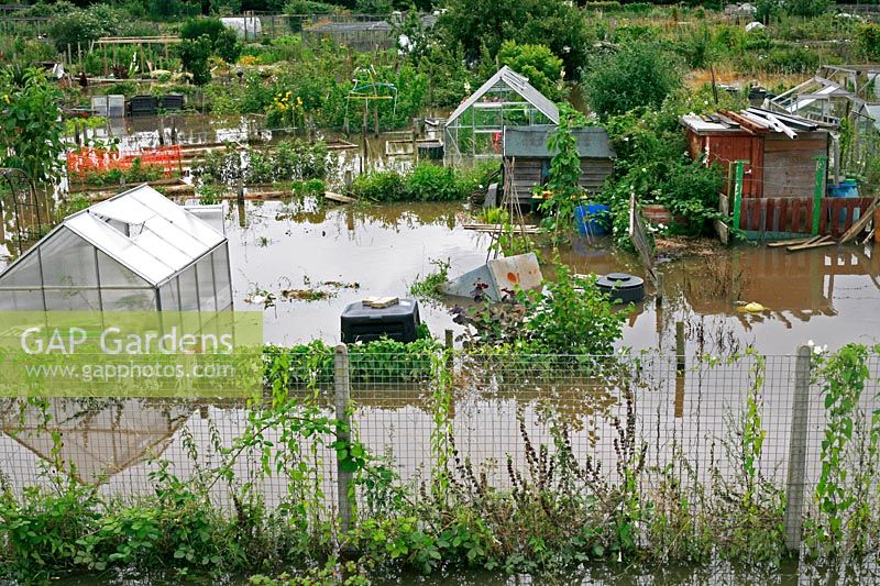 Flooded Allotments 