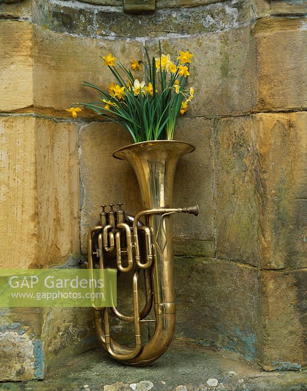 Bronze tuba filled with Narcissus 'Tete-a-Tete', Narcissus 'Midget' and Narcissus 'Hawera'