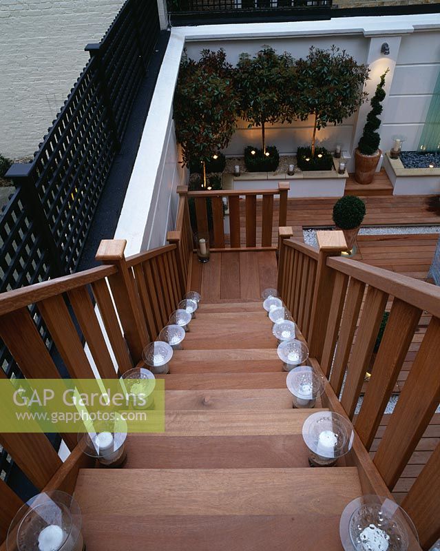 Modern roof garden with wooden steps, white walls and standard Photinias 