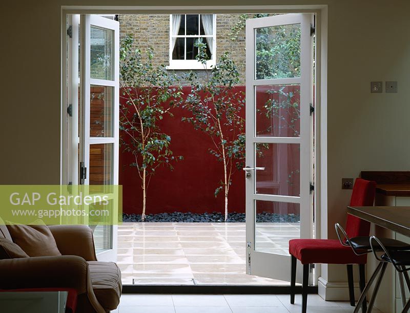 View out of kitchen to limestone terrace with red wall and Betua utilis 'Jacquemontii'
