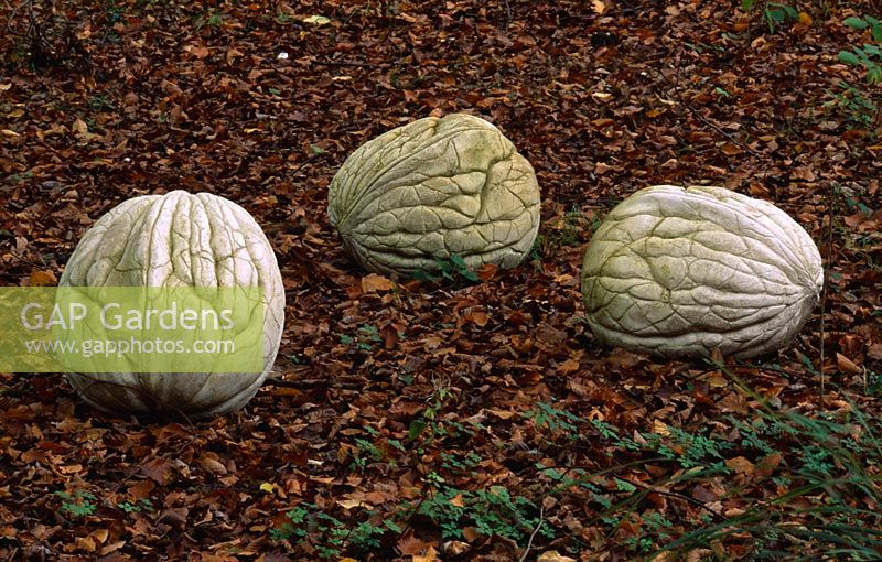 Stone walnut sculptures in the woodland
