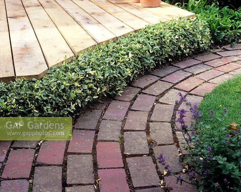 Curved path in brick edged with planting