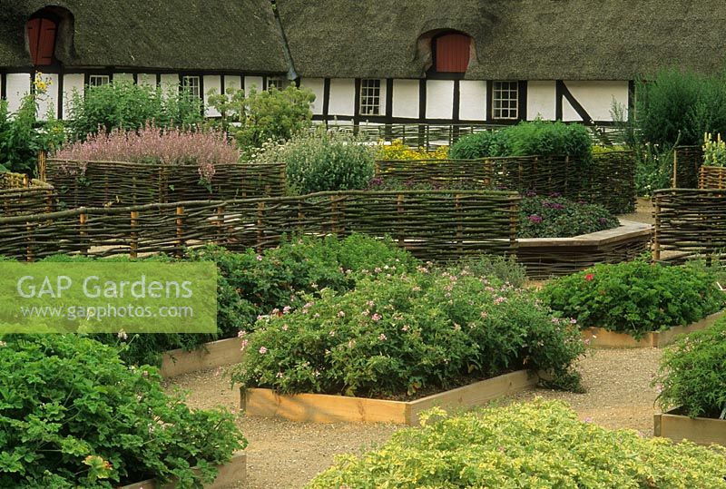 Rasied Herb borders edged with wooden planks in front of thatched house. Woven willow fencing used as boundary and divider. 
